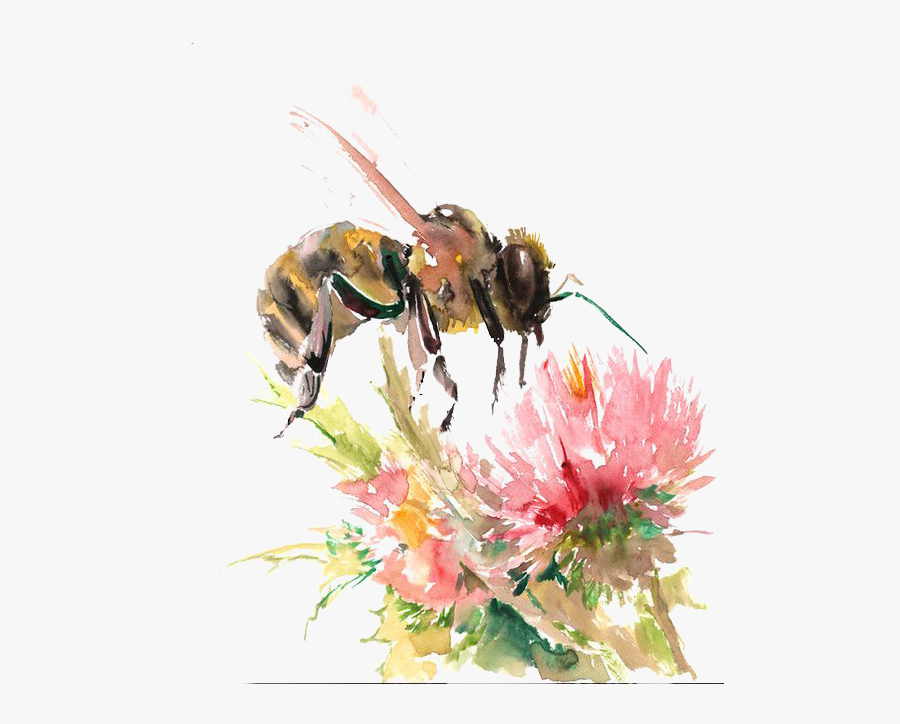 Bees Transparent Watercolor - Bee And Flower Drawing, Transparent Clipart
