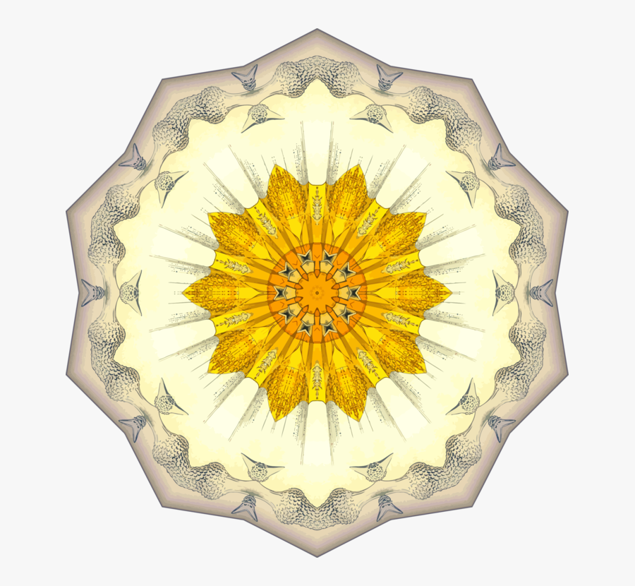 Plant,flower,sunflower - Motif, Transparent Clipart