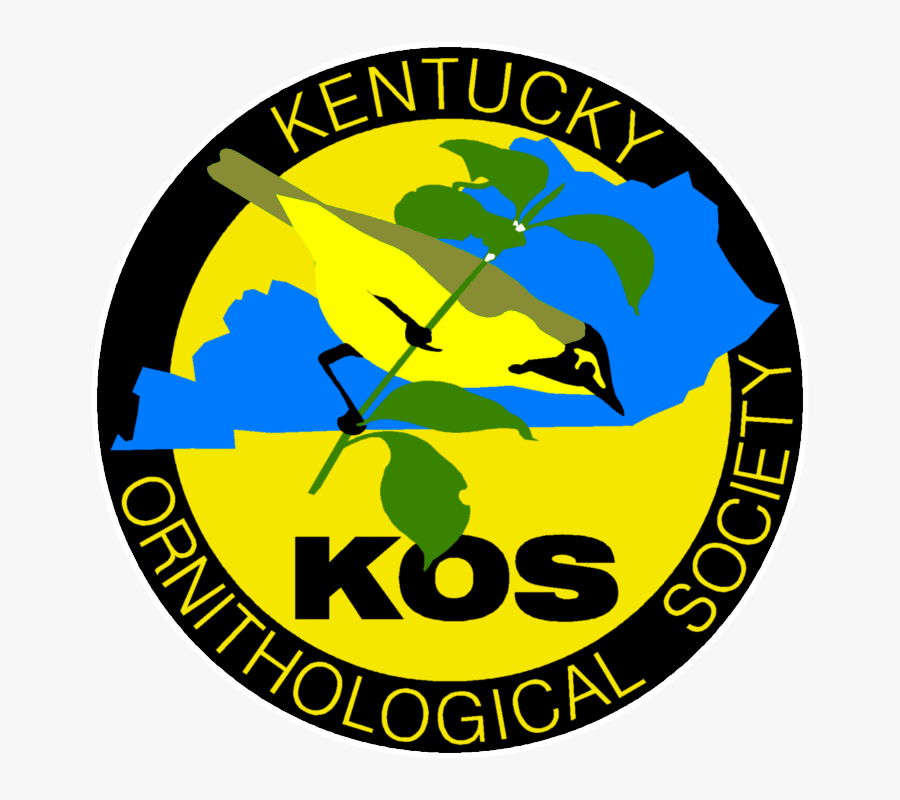 Kentucky Warbler - Kentucky Ornithological Society, Transparent Clipart