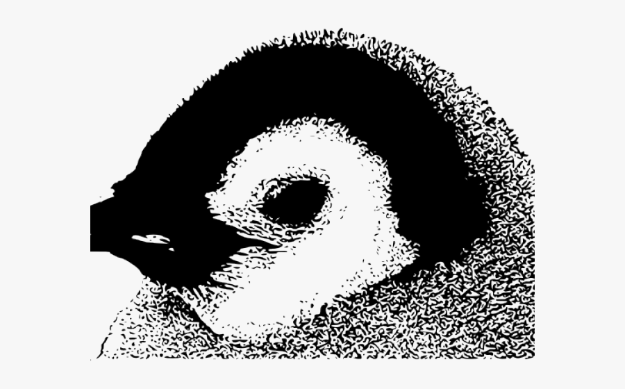 Emperor Penguin Chick, Transparent Clipart