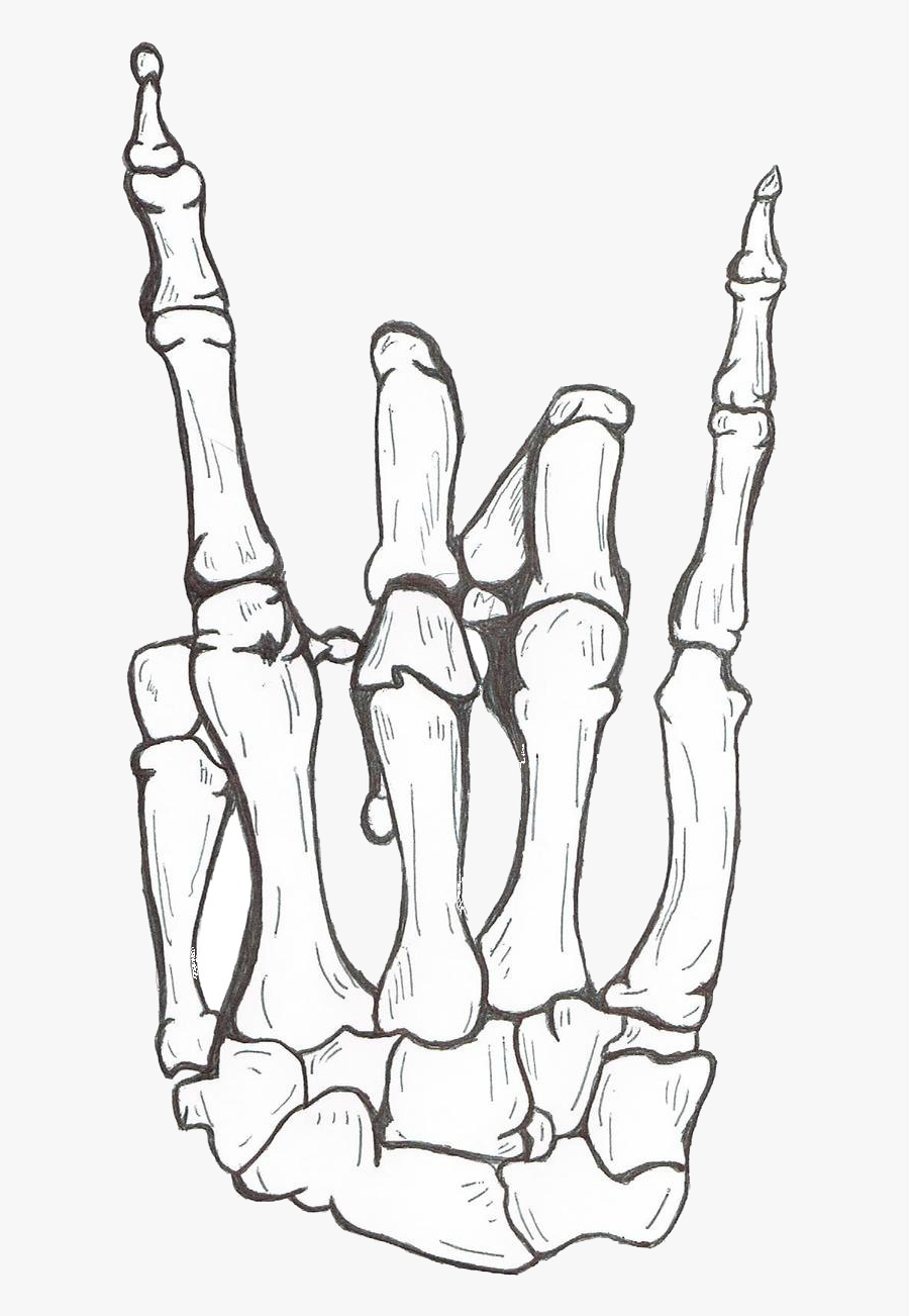 Drawing Human Skeleton Hand Bone - Hang Loose Skeleton Hand, Transparent Clipart