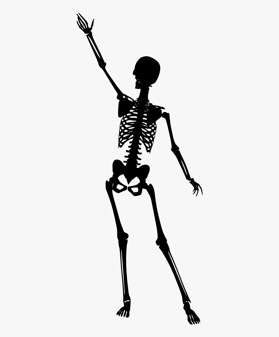 Transparent Human Skeleton Png - Portable Network Graphics, Transparent Clipart
