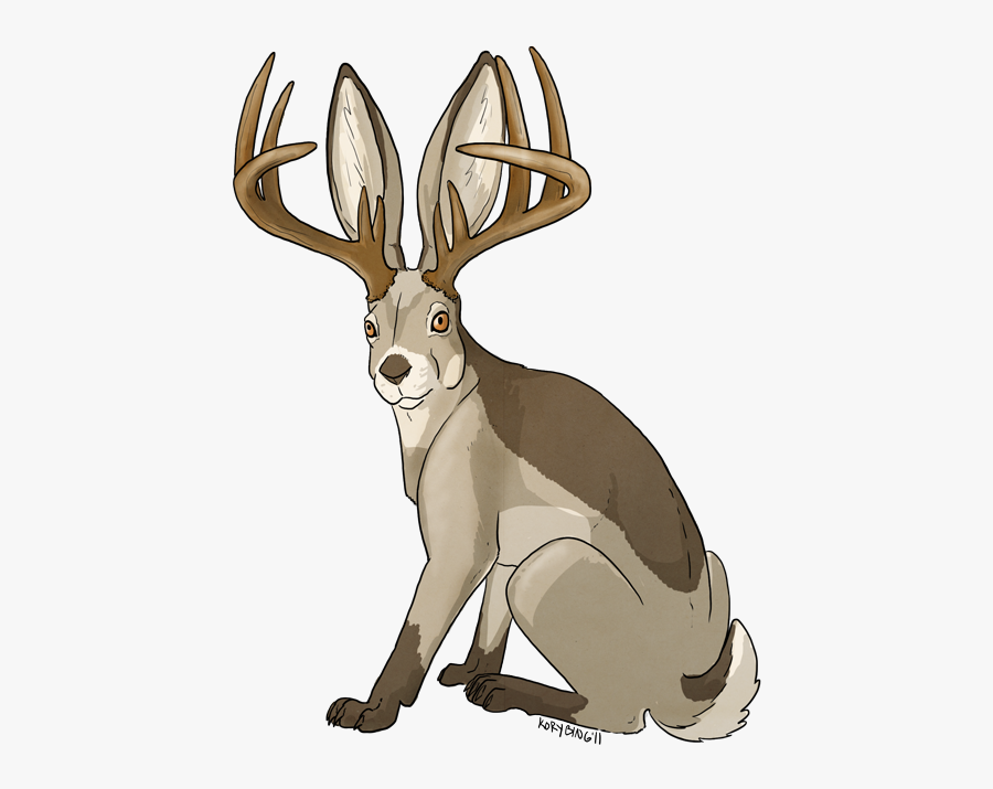 Female Jackalope, Transparent Clipart