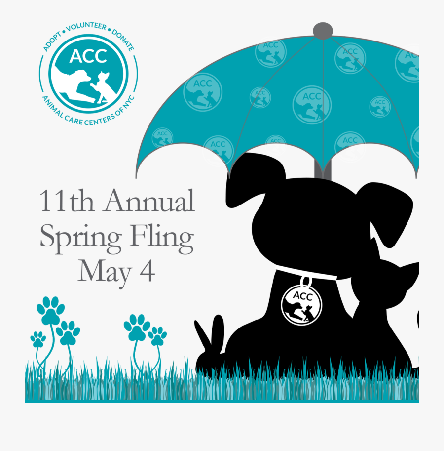 Care Centers For Thousands - Umbrella, Transparent Clipart