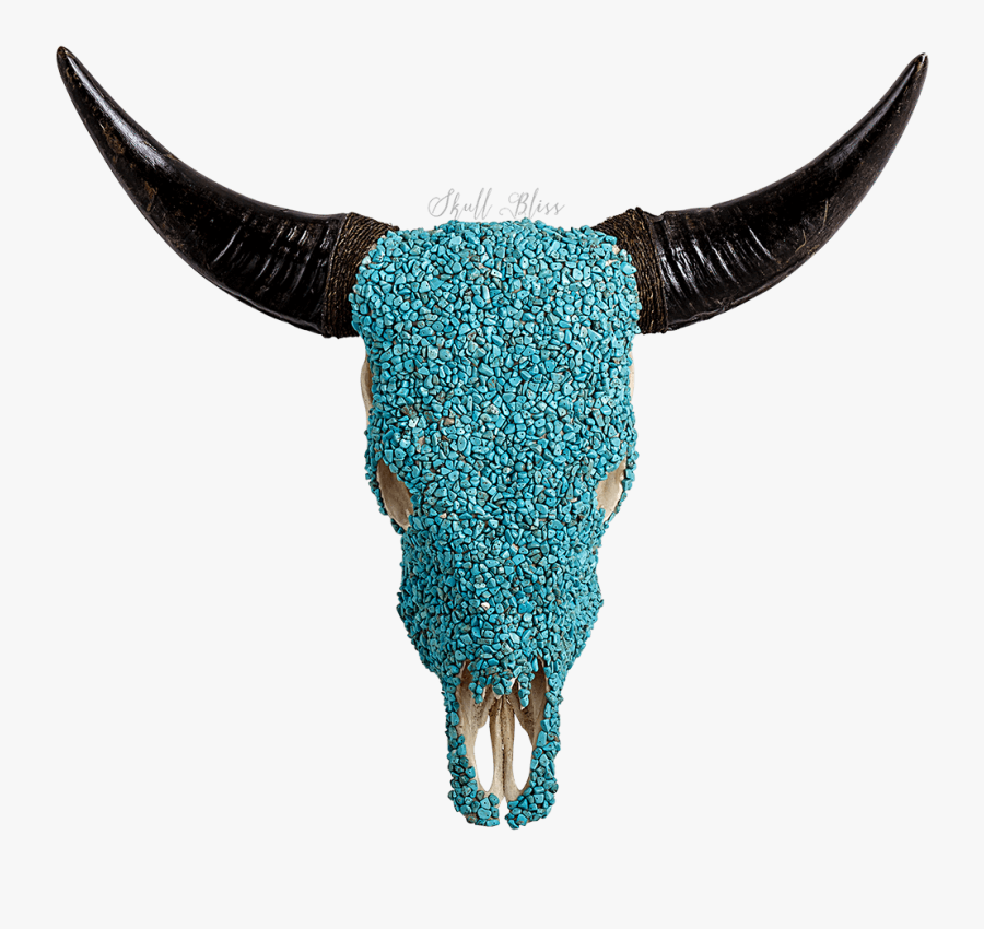 Measurements - Bull - Bull, Transparent Clipart