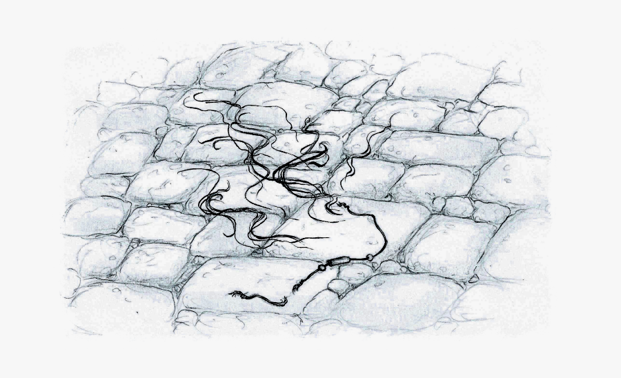 Drawing Cutting Bruise - Sketch, Transparent Clipart