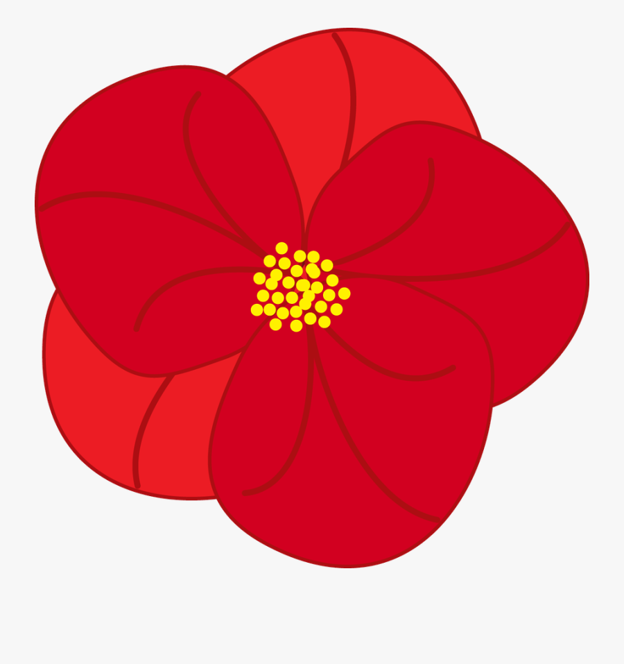 Poule Pas De Tête, Transparent Clipart