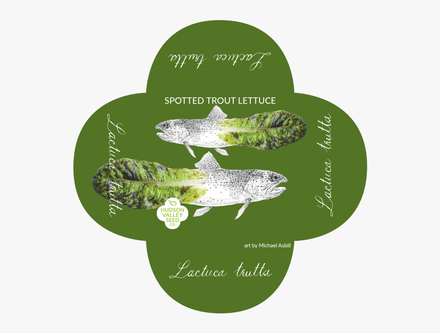 Spotted Trout Lettuce Quatrefoil - Trout, Transparent Clipart