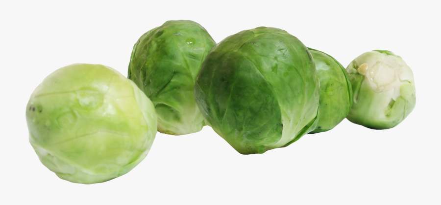 Brussels Sprouts Png Image - Brussel Sprouts Png, Transparent Clipart