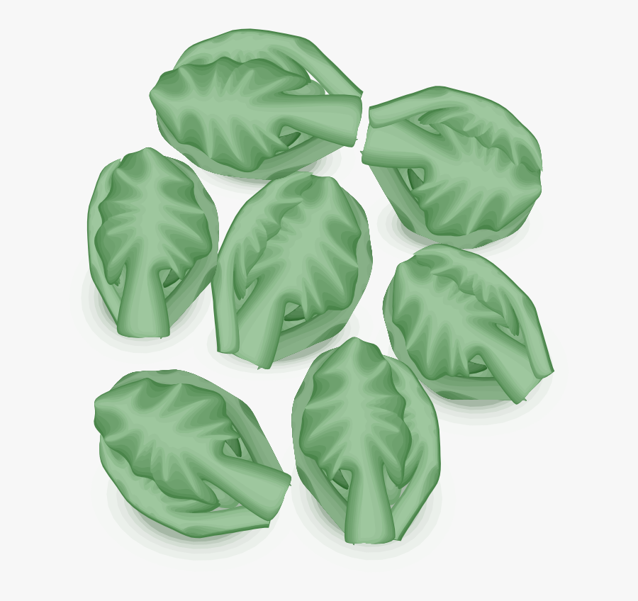 Brussel Sprouts - Brussels Sprouts Vector, Transparent Clipart