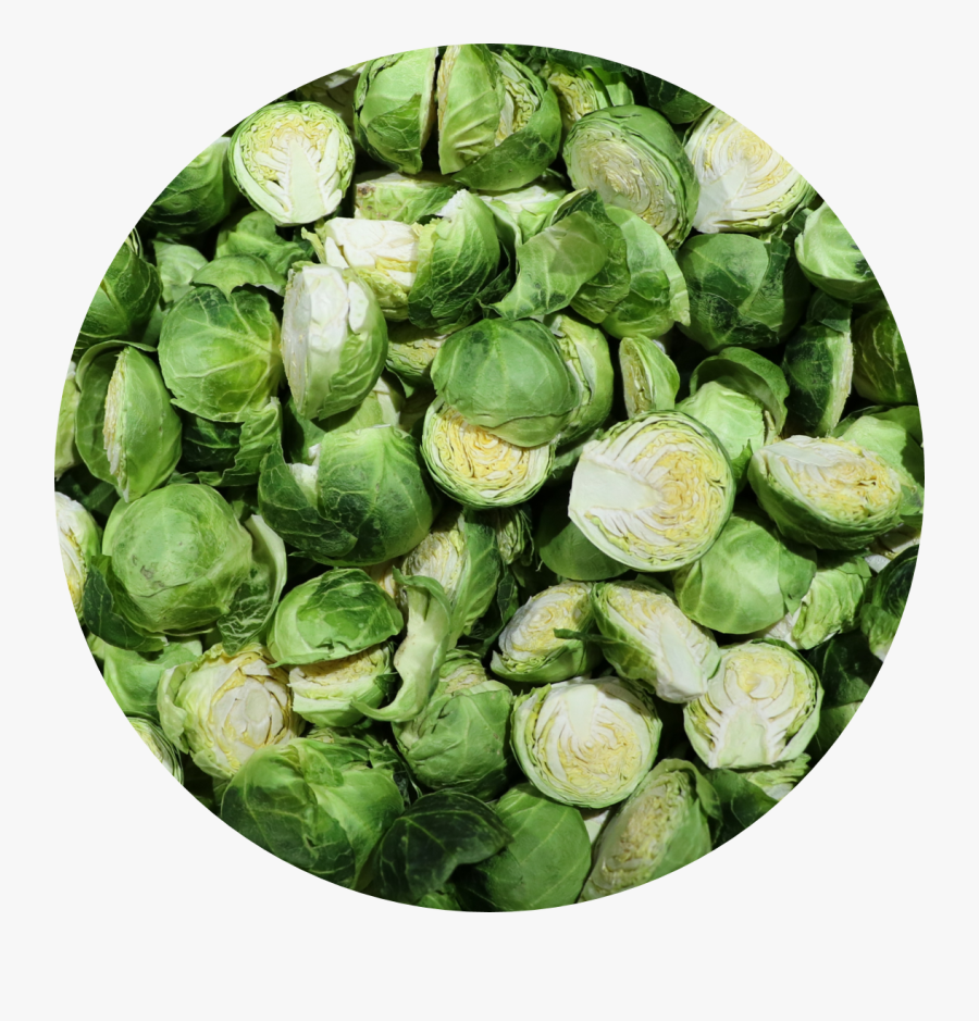 Brussels Sprout, Transparent Clipart
