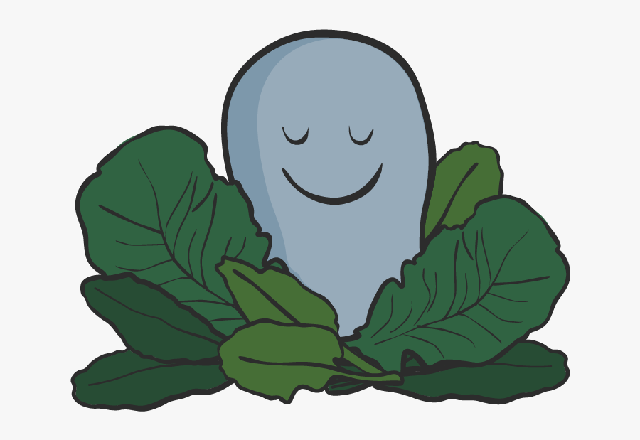 Balancing Your Hormones With Green Eating, Transparent Clipart
