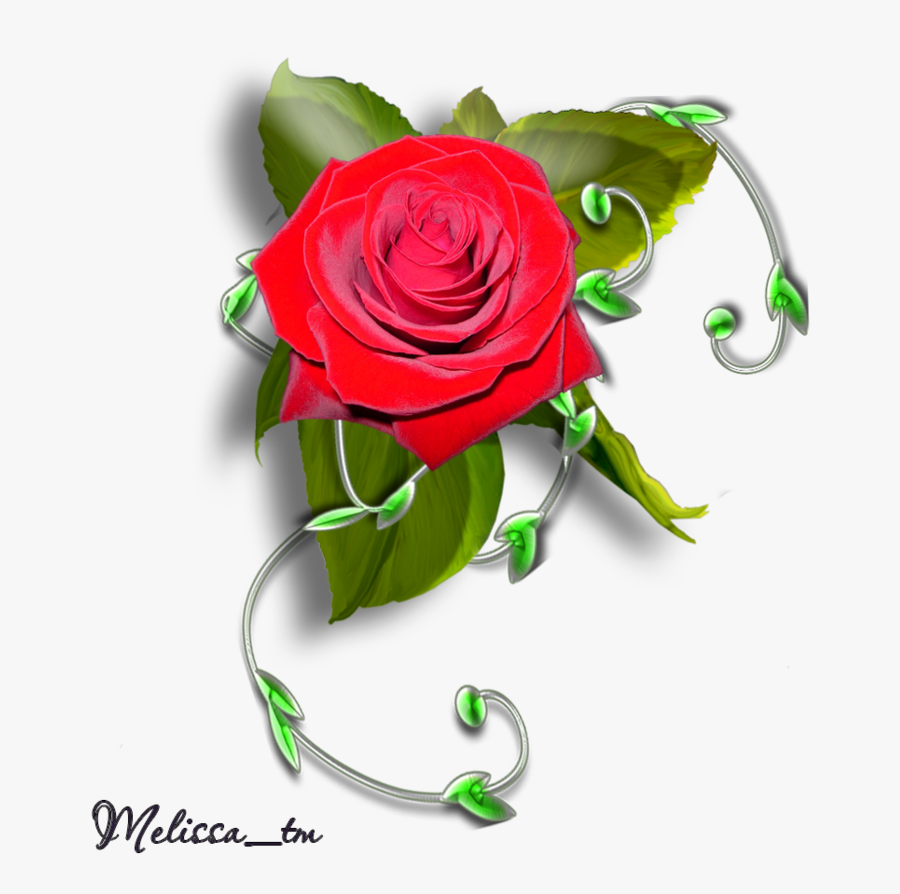 Element Rose With Leaves And Swirl Png By Melissa-tm - Roses Element Png, Transparent Clipart
