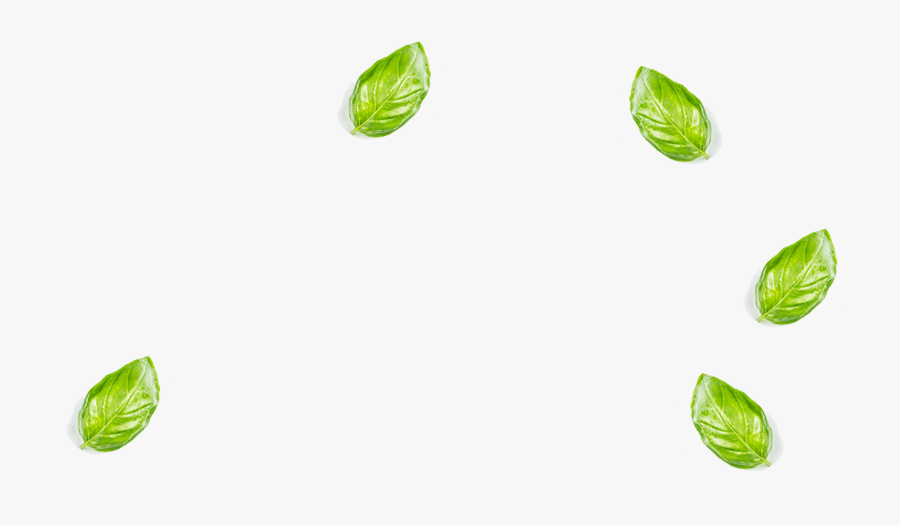 Brussels Sprout, Transparent Clipart