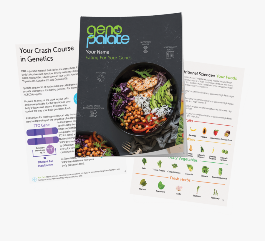 Report Pages Without Text V2 - Flyer, Transparent Clipart