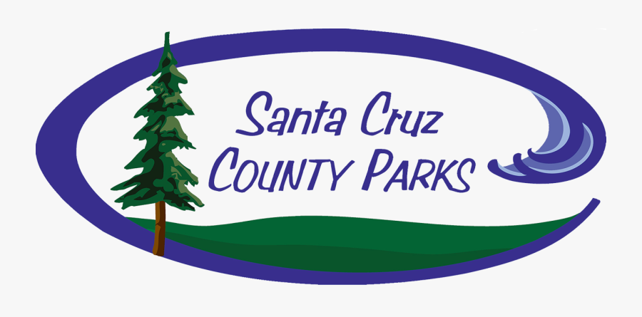 Christmas Tree, Transparent Clipart