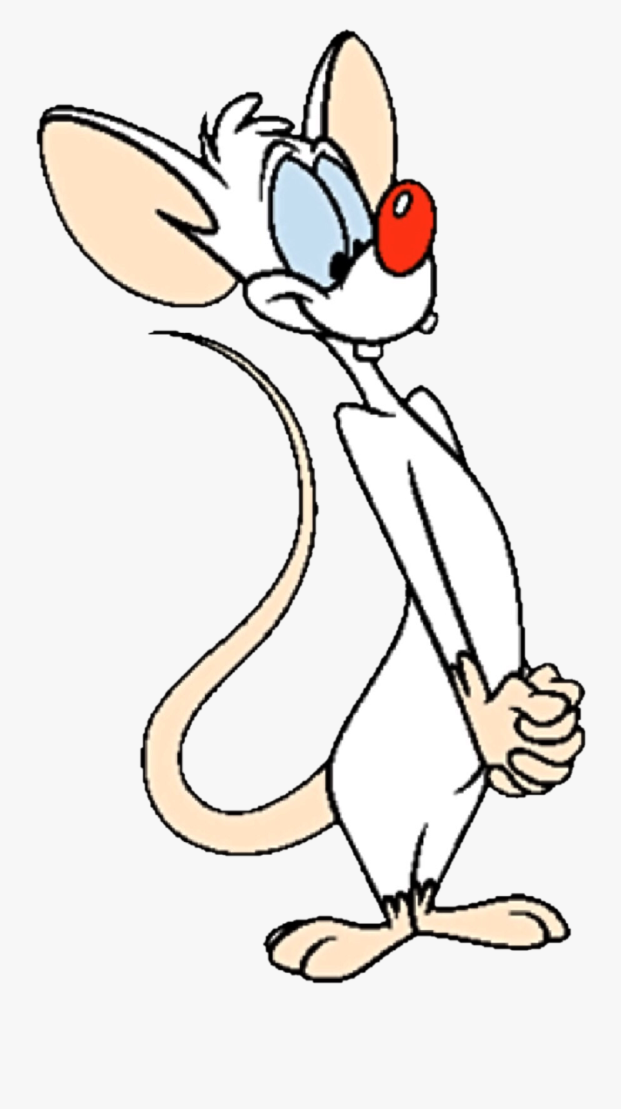Looney Tunes Wiki - Pinky And The Brain, Transparent Clipart