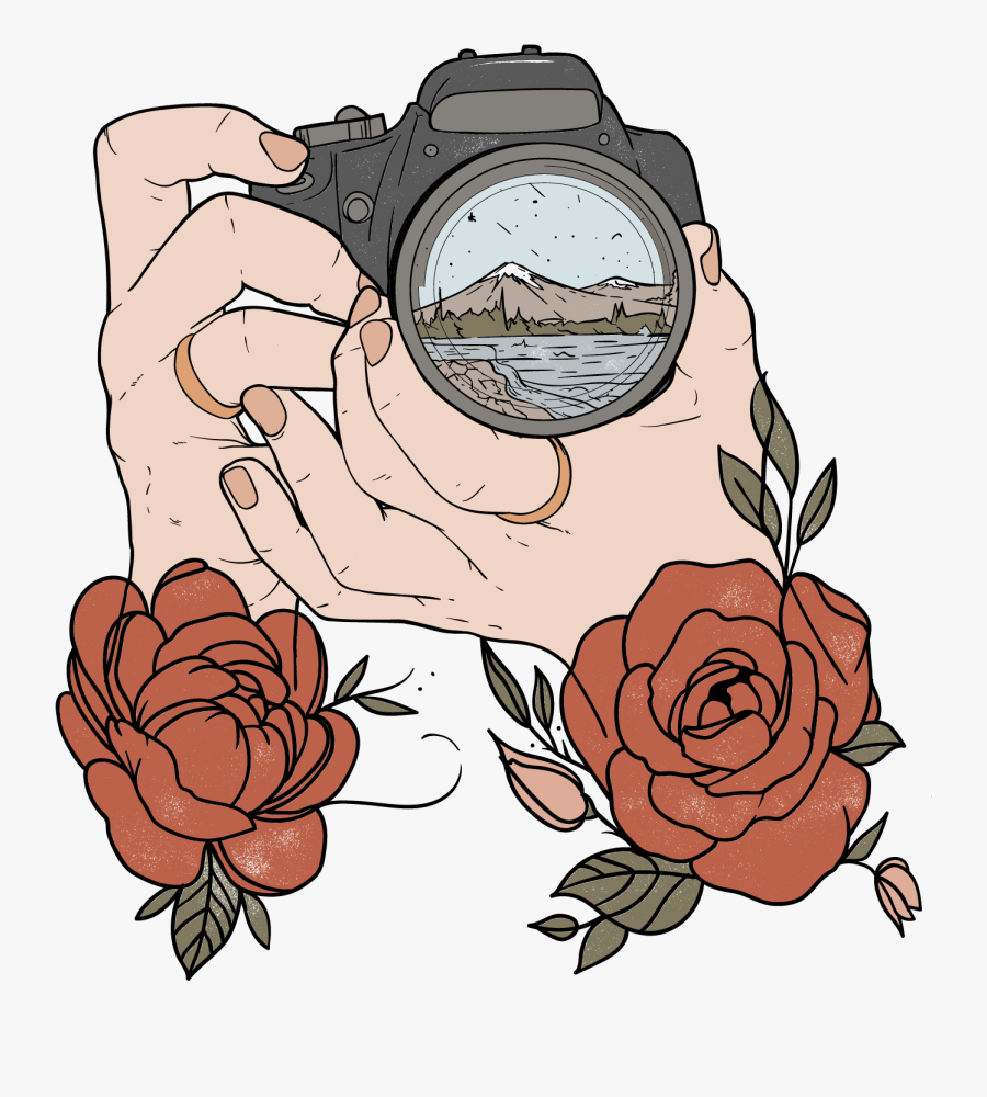 Garden Roses, Transparent Clipart