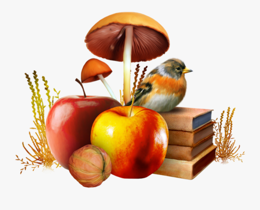 Diagram Network Wallpaper Desktop Autumn Graphics Portable - Mushrooms Autumn Png, Transparent Clipart