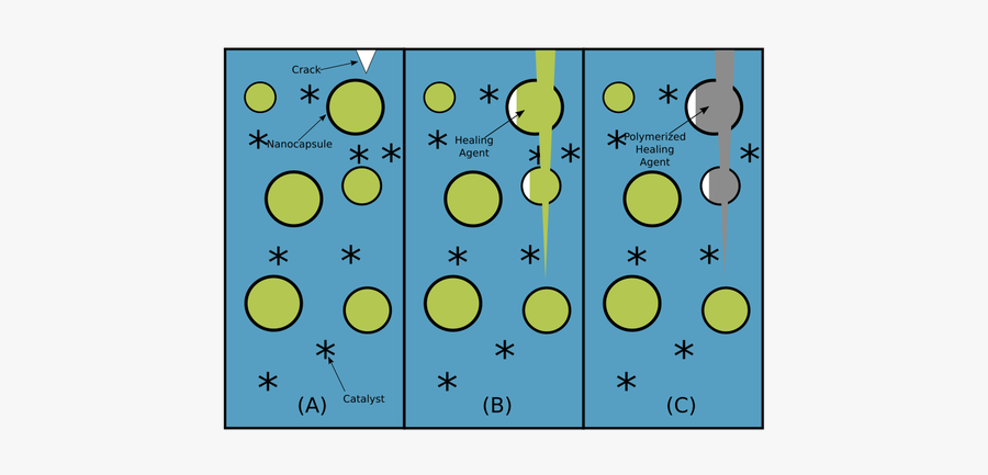 Self Healing Diagram - Self Healing Capsule, Transparent Clipart