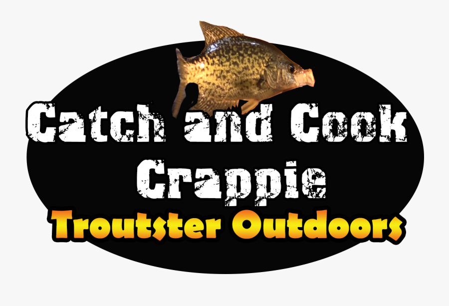 Fly Fishing Recreational Fishing Crappies Fishing Tackle - Fish, Transparent Clipart