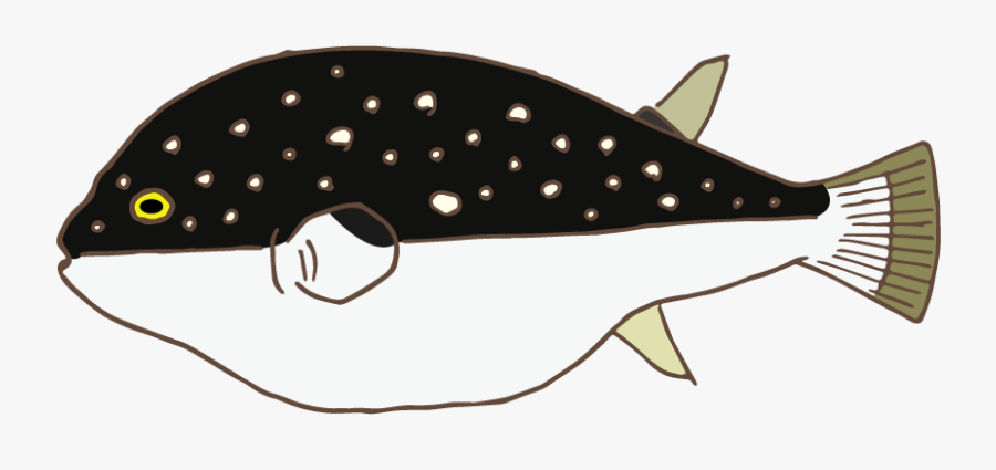 Pez Globo - Killer Whale, Transparent Clipart