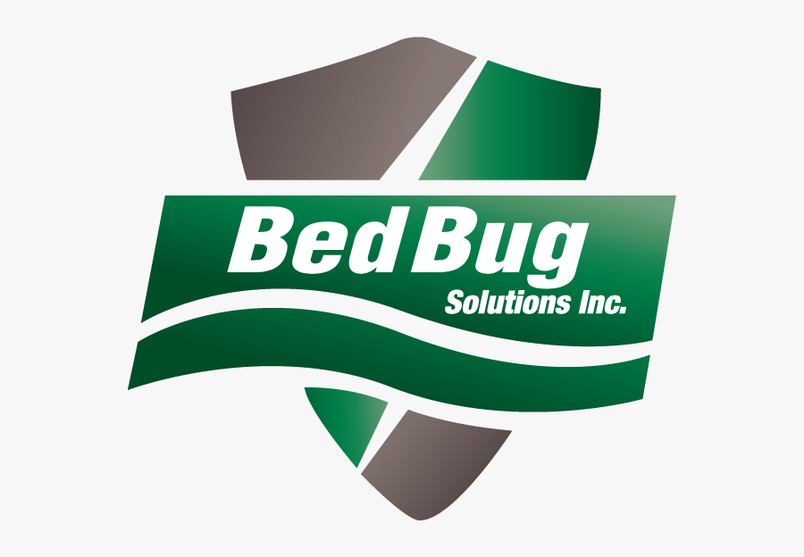 Graphic Design, Transparent Clipart