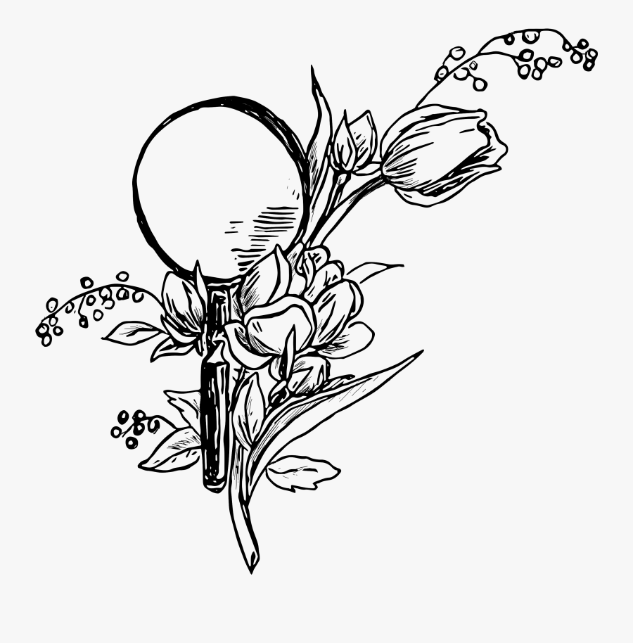 Drawing, Transparent Clipart