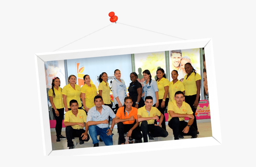 Transparent Almacen Png - Banner, Transparent Clipart