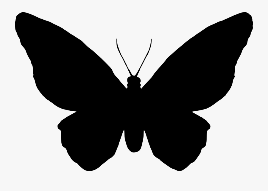 Clip Art, Transparent Clipart