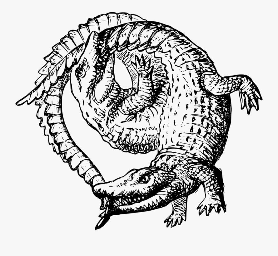 Reptile,art,serpent, Transparent Clipart