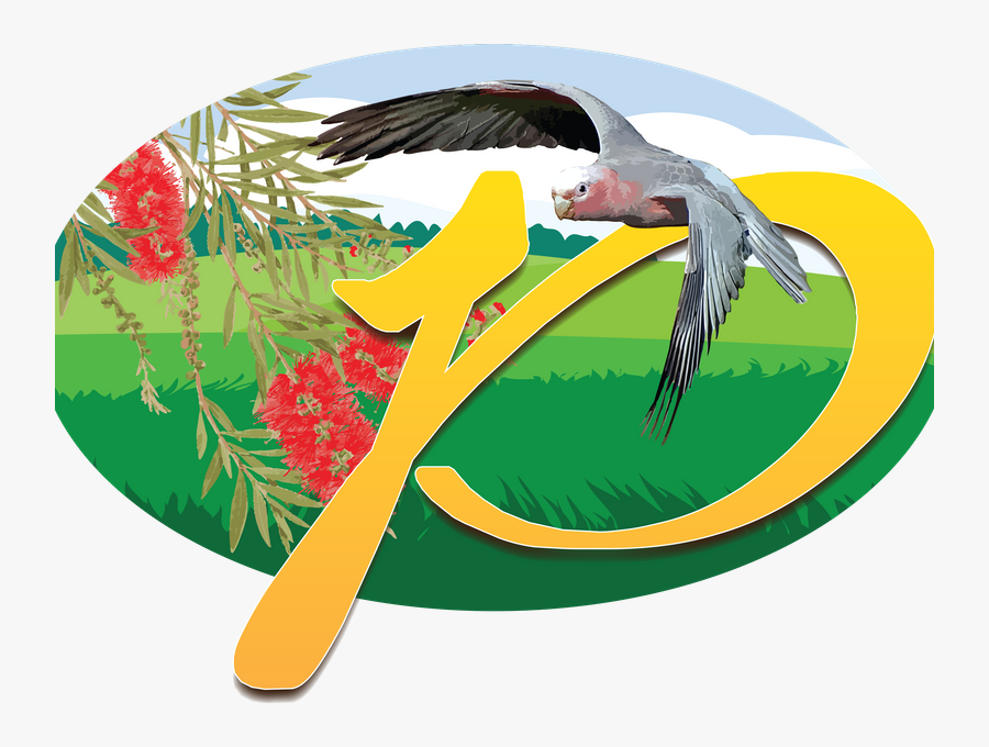 Tern Clipart Number - Illustration, Transparent Clipart