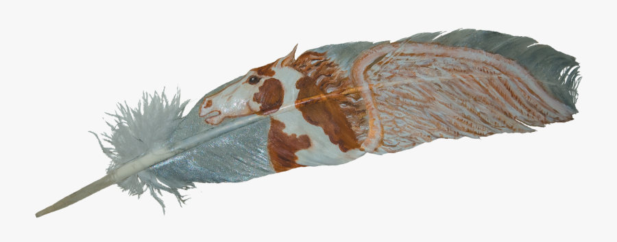 Transparent Indian Feather Png - Bongo, Transparent Clipart