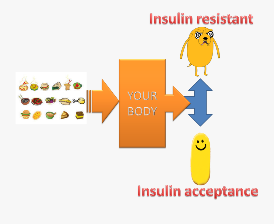 Clip Art Insulin Clip Art - Illustration, Transparent Clipart