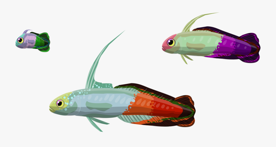 Image Description - Invertebrate, Transparent Clipart