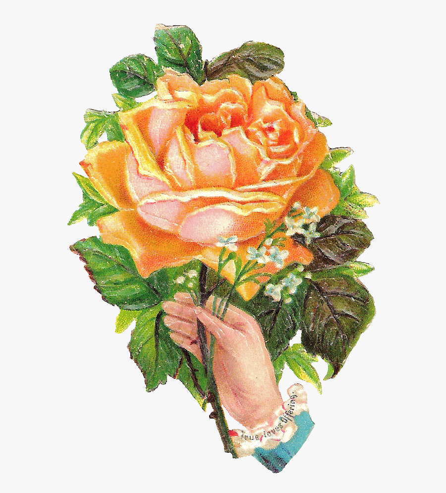 Clip Art, Transparent Clipart