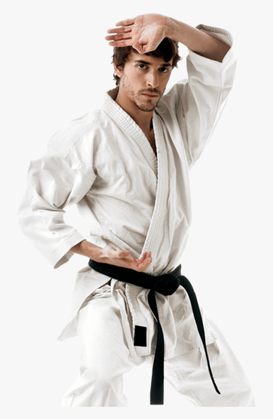 Action Karate Owner - Karate School, Transparent Clipart