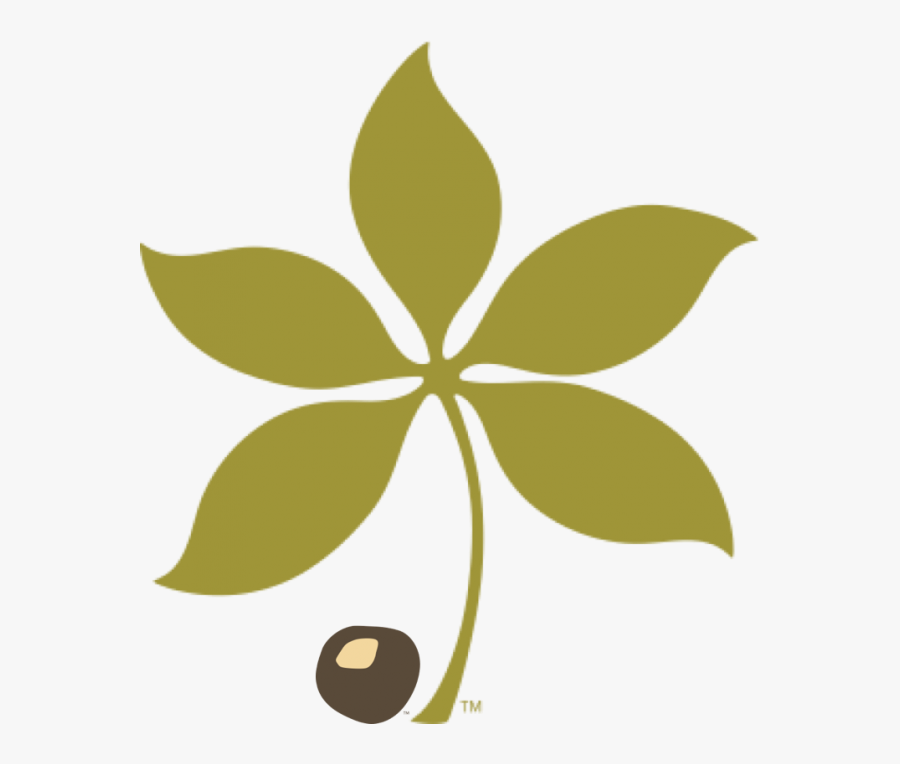 Buckeye Ohio State Red Buckeye Leaf Free Transparent Clipart Clipartkey