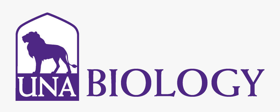 College Of Arts And Sciences - Food Science Technology And Engineering, Transparent Clipart