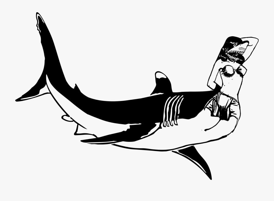 Black And White Shark Clipart, Transparent Clipart