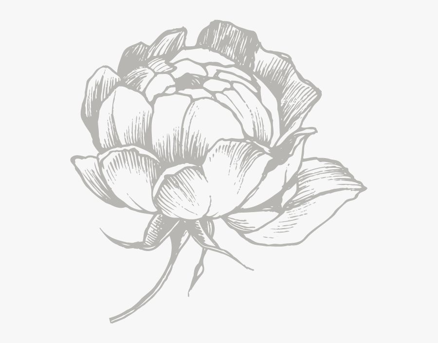 Transparent Black And White Flowers Png - Illustration, Transparent Clipart