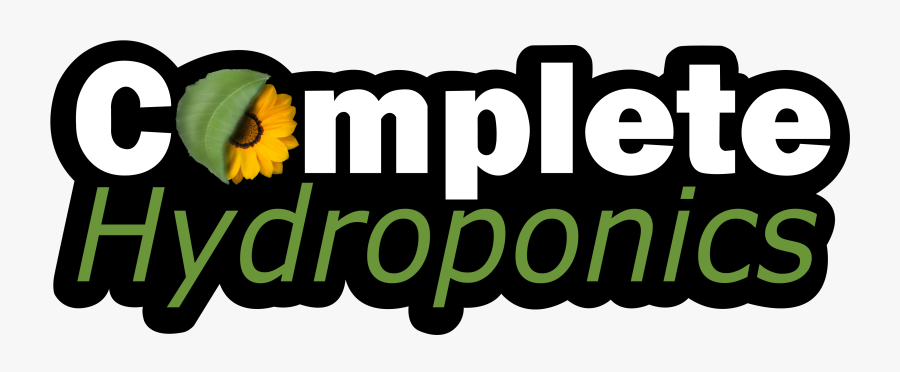 Gerbera, Transparent Clipart