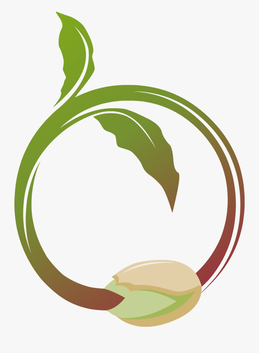 Home, Transparent Clipart