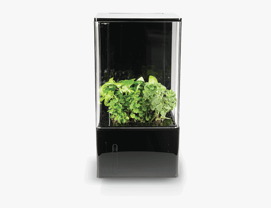 Spring Greens, Transparent Clipart