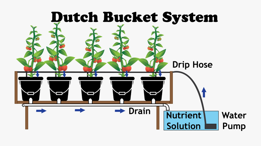 Flowerpot, Transparent Clipart