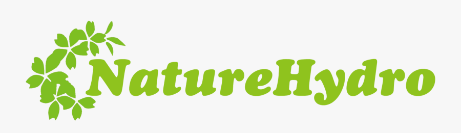 Graphic Design, Transparent Clipart