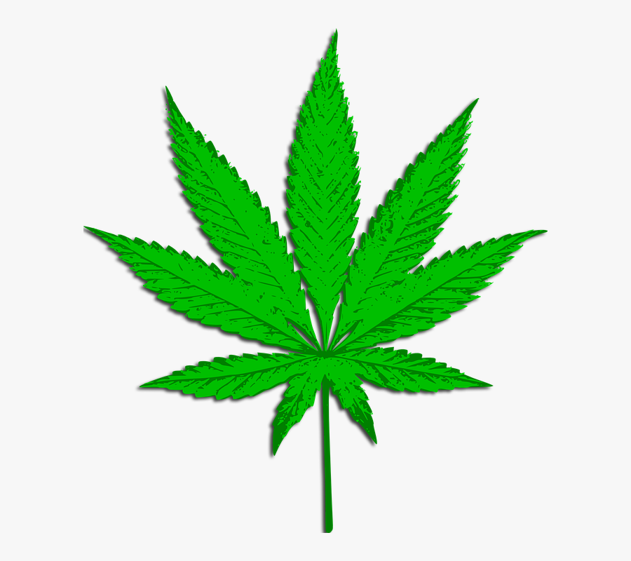 Marijuana Leaf Clipart, Transparent Clipart