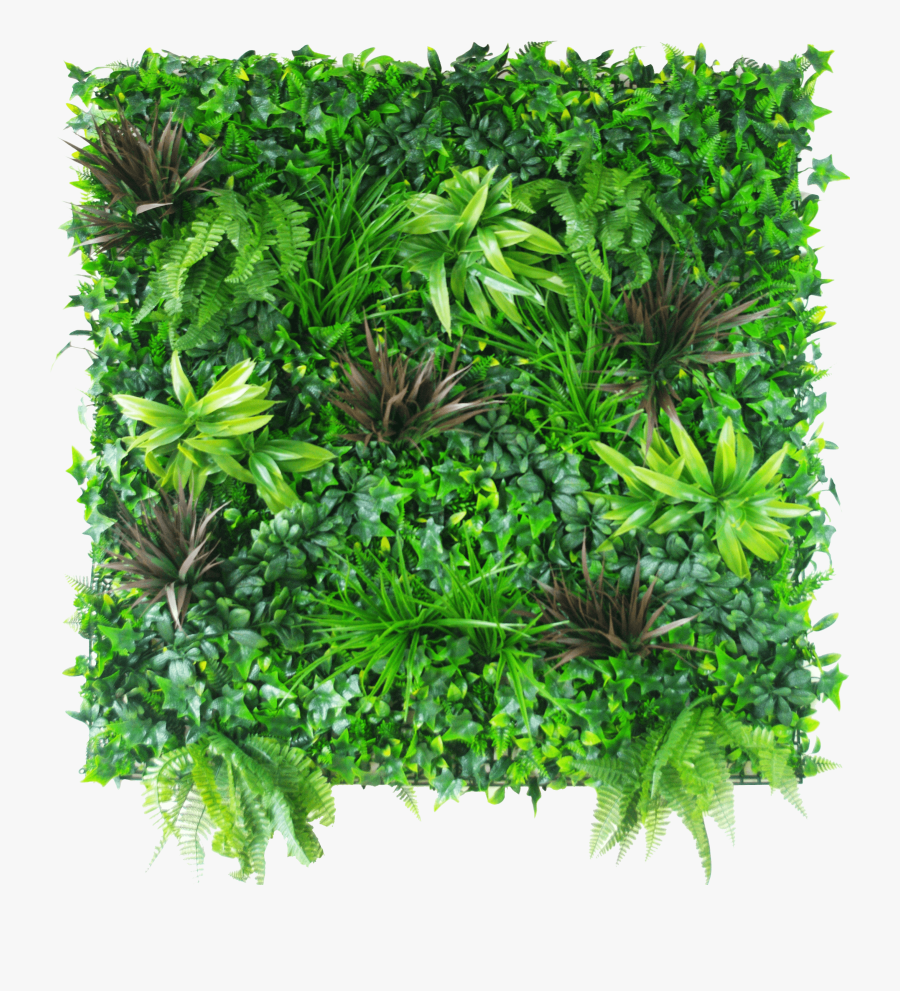 Hydroponics Clipart, Transparent Clipart