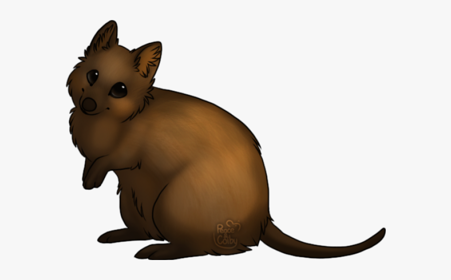 Quokka Clipart Png, Transparent Clipart