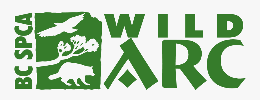 Father S Day Garden - Graphic Design, Transparent Clipart